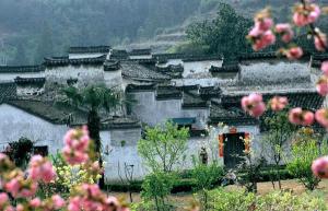 Tangyue Village Impression